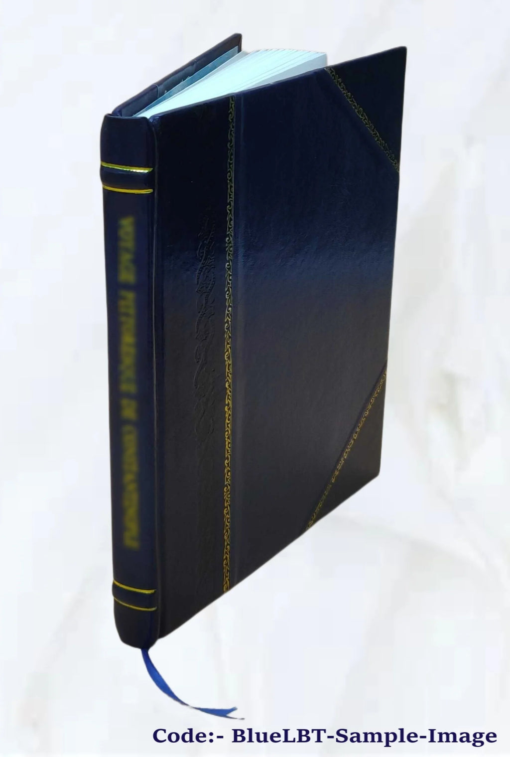 Leather Bound Book E68721