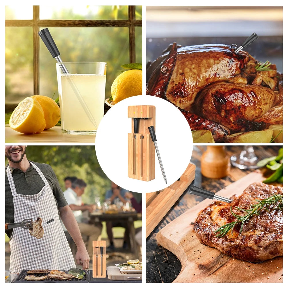 Smart Wireless Meat Thermometer with 2 Probes S787