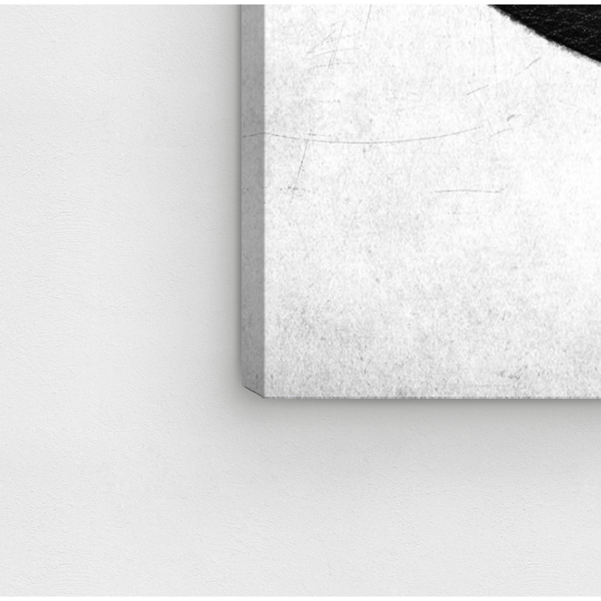 Fashion Football Canvas Art U783544