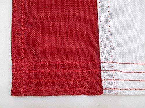 Heavy Duty 4x6 2-Ply Polyester US Flag S4820