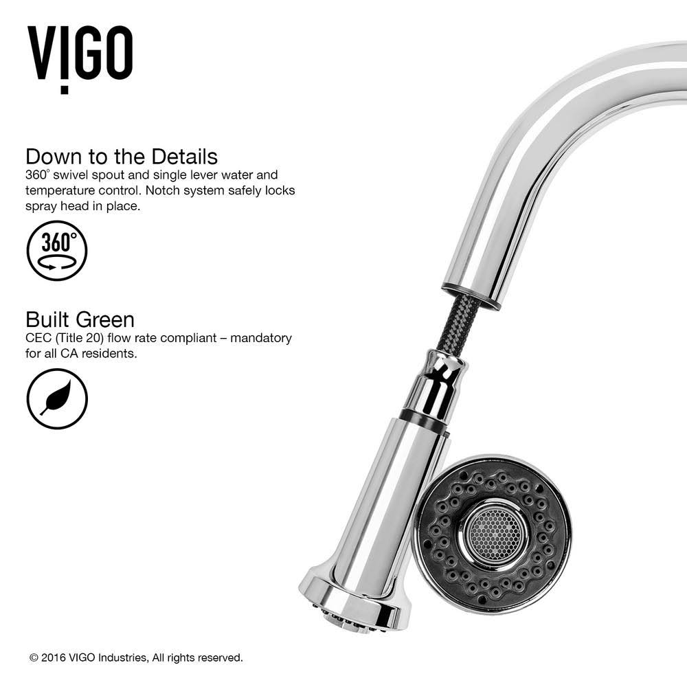 Chrome Pull-Out Spray Kitchen Faucet F500258