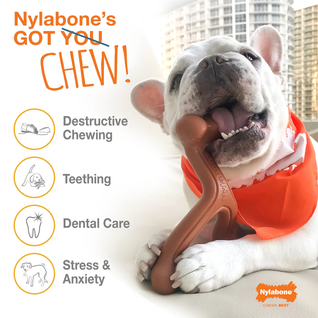 Power Chew Flavored Durable Chew Toy for Dogs X-Large (1 Count) E6515