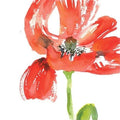 100 Cards Cold Press Watercolor Cards with Envelopes F166342