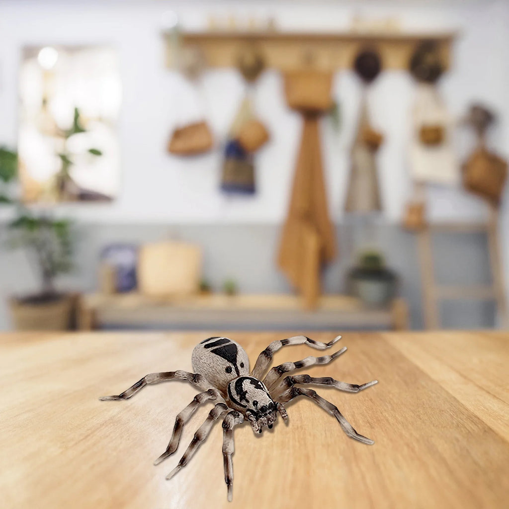 4 Piece Insect Animal Life Cycle Plastic Figures P911