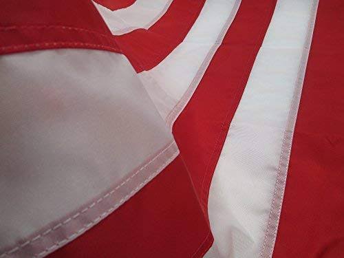 Heavy Duty 4x6 2-Ply Polyester US Flag S4820