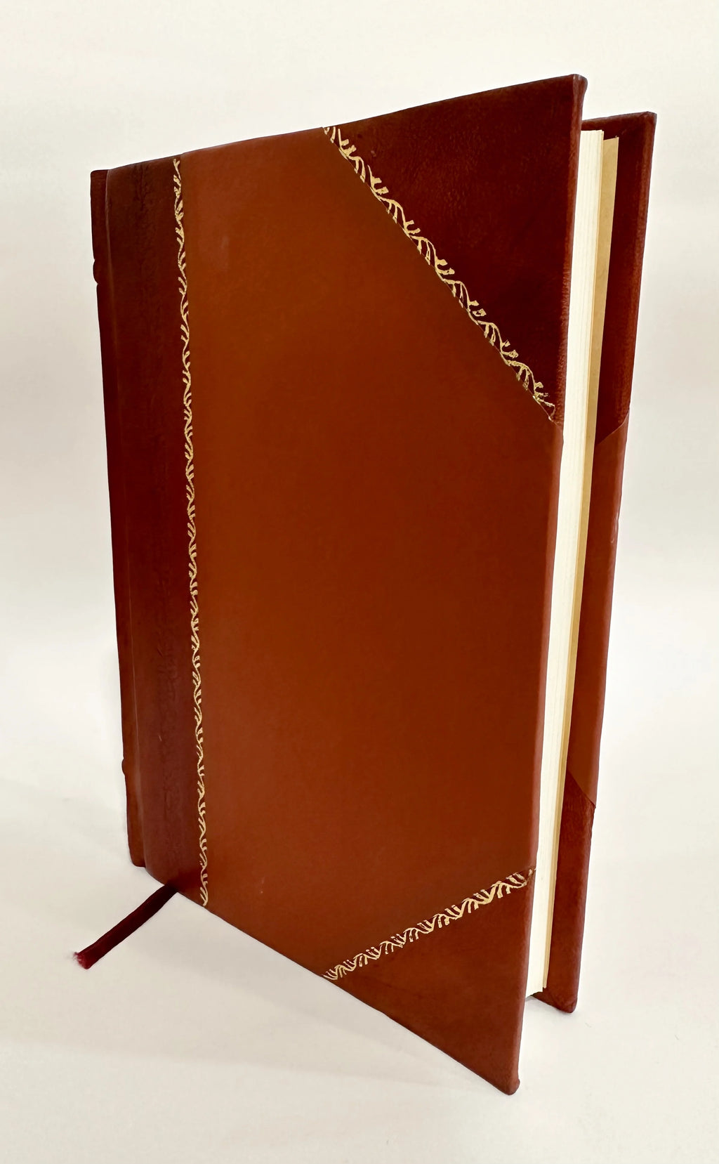 Leather Bound Book V519398