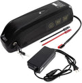 48V Lithium ion Batteries 10AH-20AH with Charger O5940