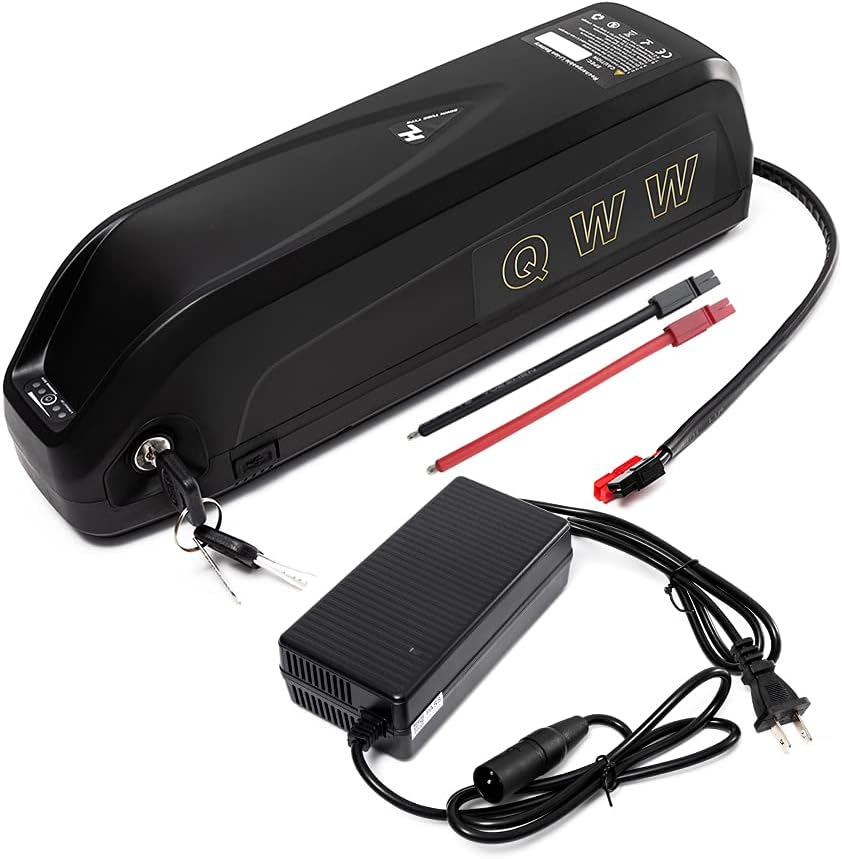48V Lithium ion Batteries 10AH-20AH with Charger O5940