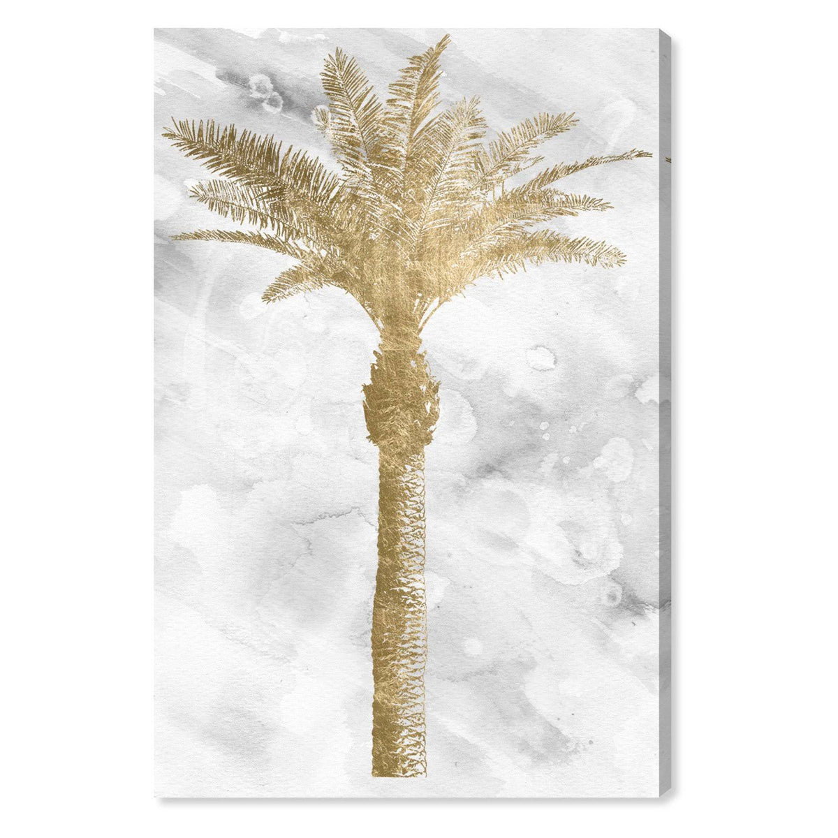 White Canvas Art K6745