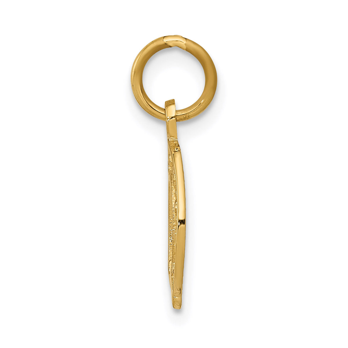 14K Yellow Gold Horseshoe Pendant Charm with 10K Yellow Gold Rope Chain Necklace 20'' P105