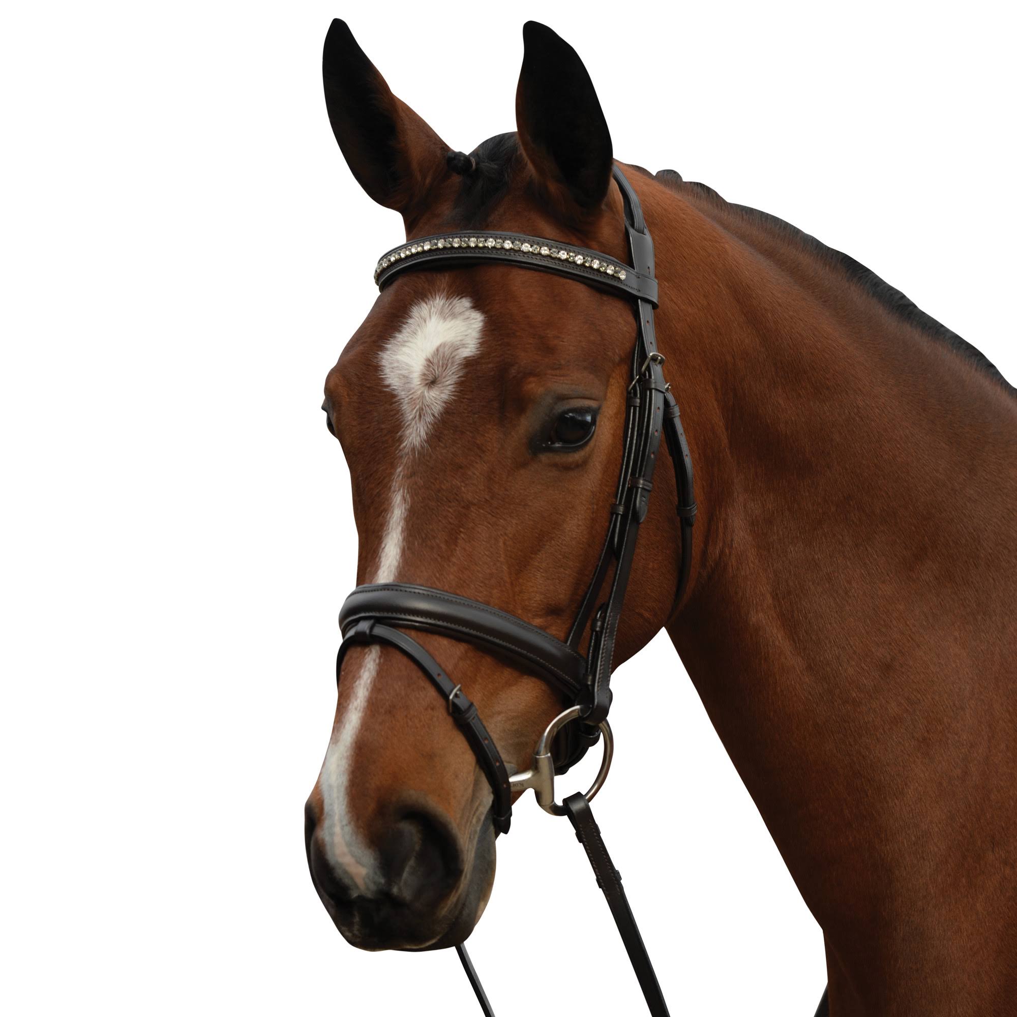 Padded Crystal Crank Flash Bridle Brown COB X71922