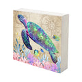 Turtle Art Canvas Shadow Box - 10x10 W13330