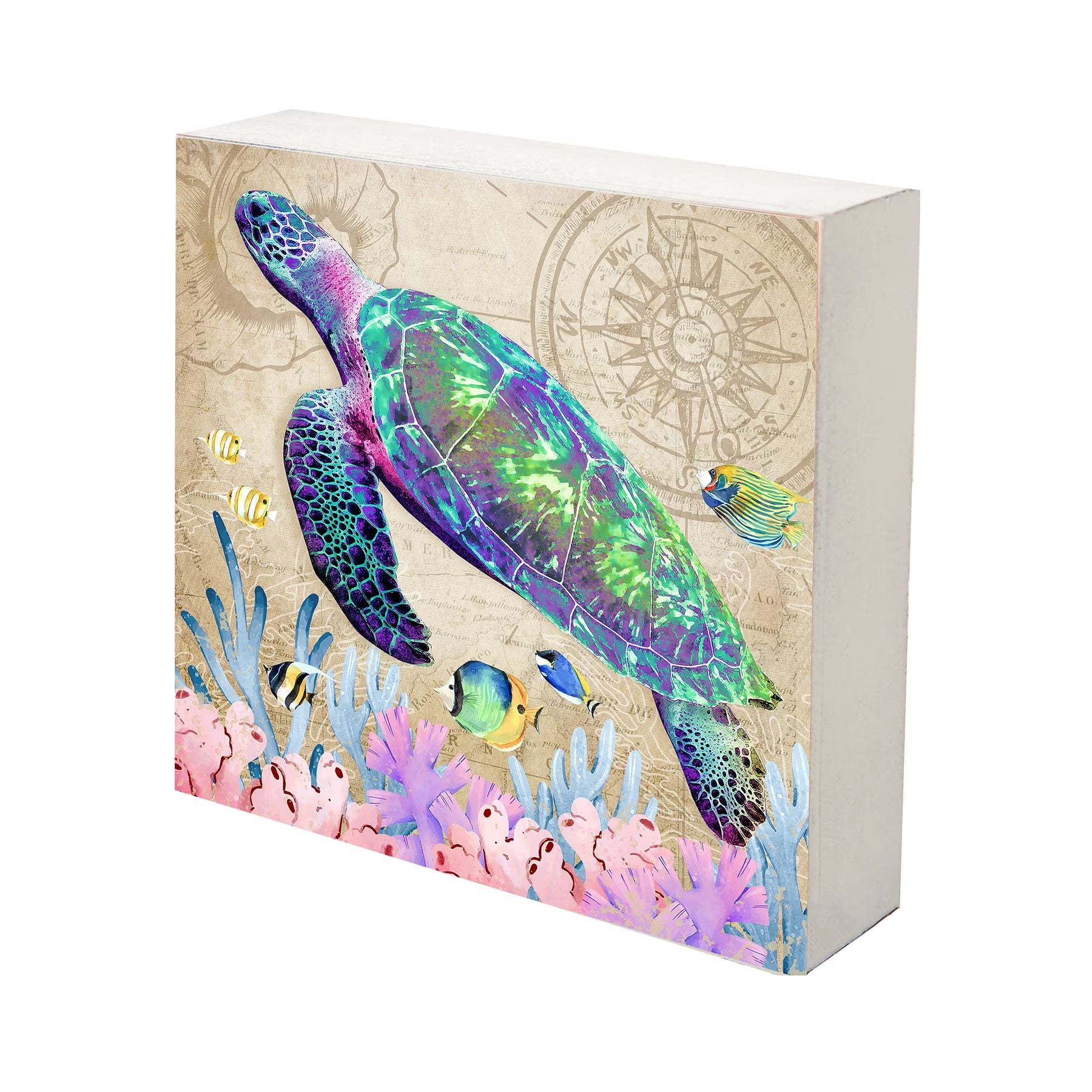 Turtle Art Canvas Shadow Box - 10x10 W13330