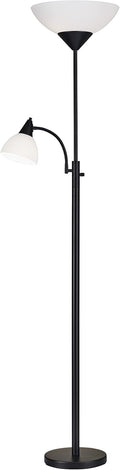 Brushed Steel Floor Lamp with Reading Light C1035