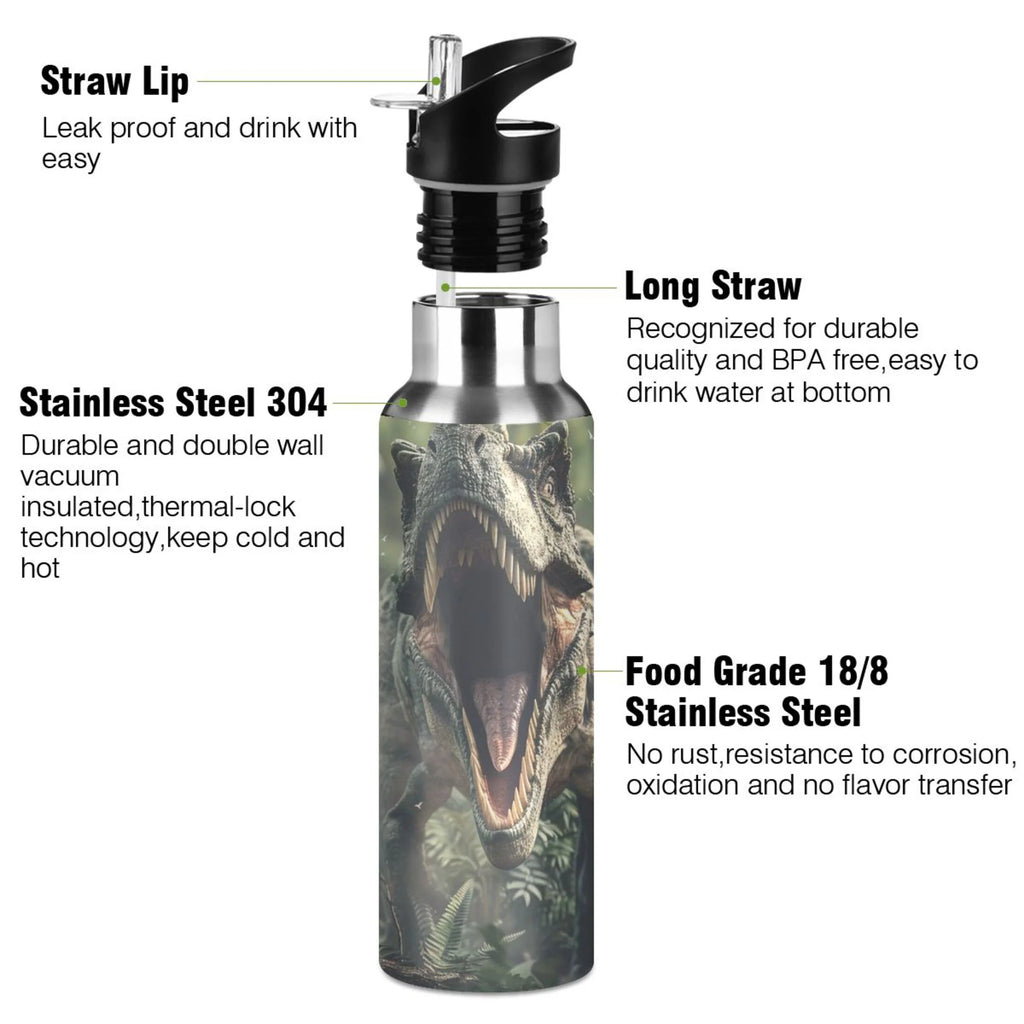 Insulated Thermos Kids Stainless Steel Bottle with Straw Lid Flask 20 oz M52628