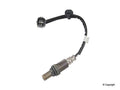 Oxygen Sensor K11534