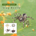 4 Piece Insect Animal Life Cycle Plastic Figures P911