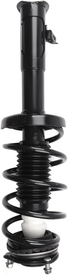 Front Pair Complete Struts Assembly Shock Absorber E551