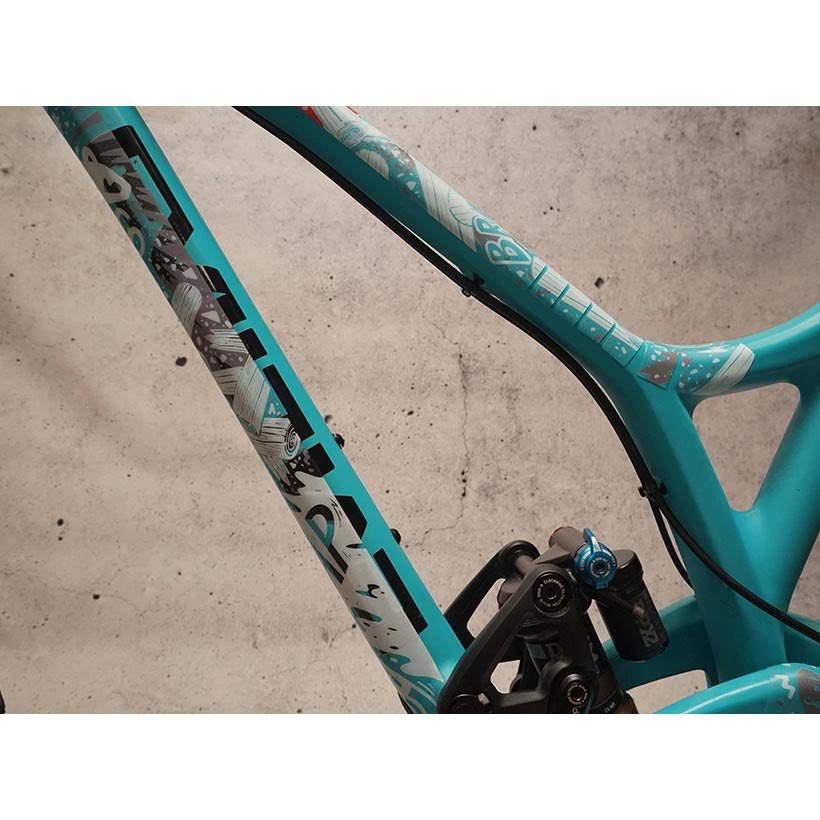 Chainsaw Frame Protector Kit B388585