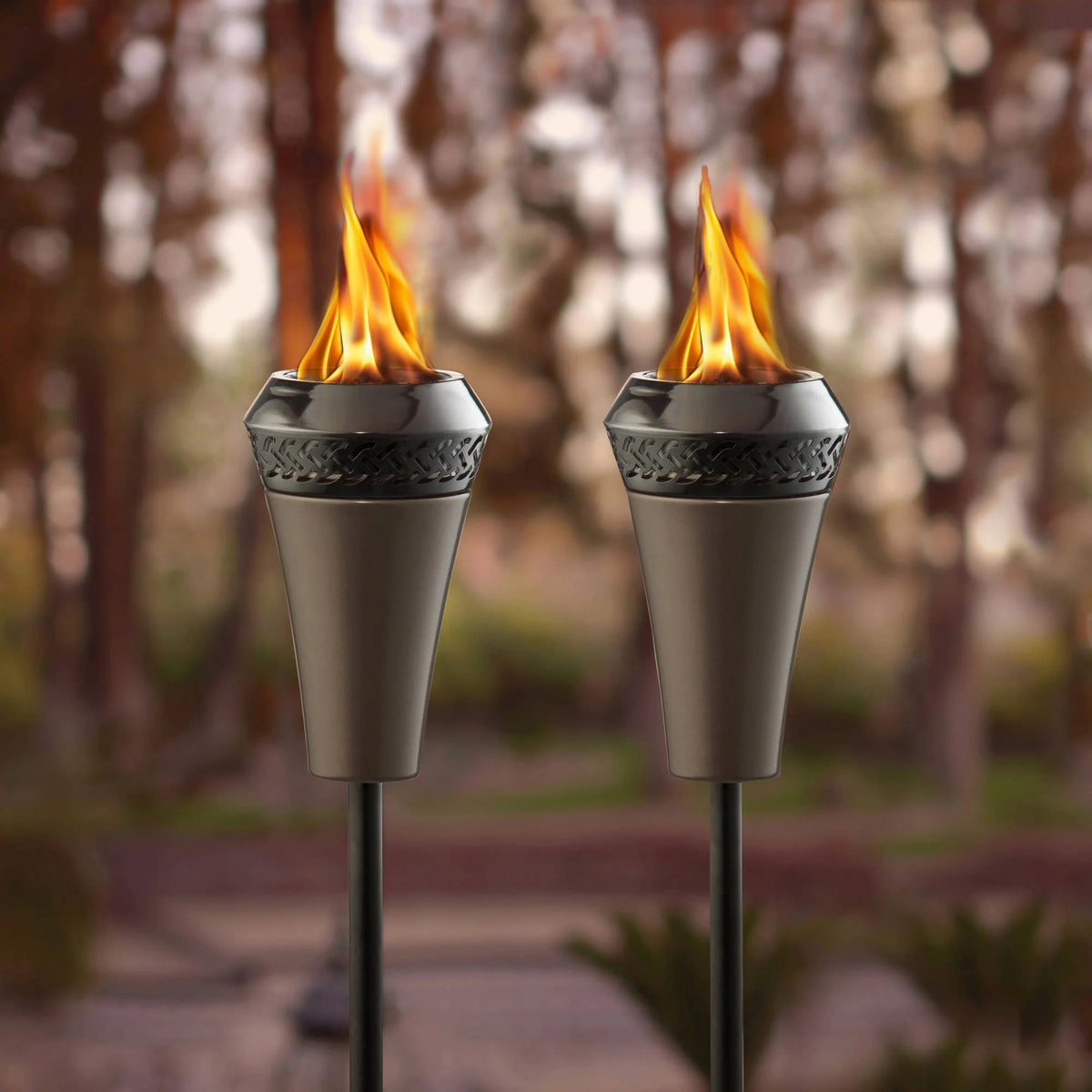 2-Pack 66 inch Outdoor Tiki Torch Metal Brown Q296108