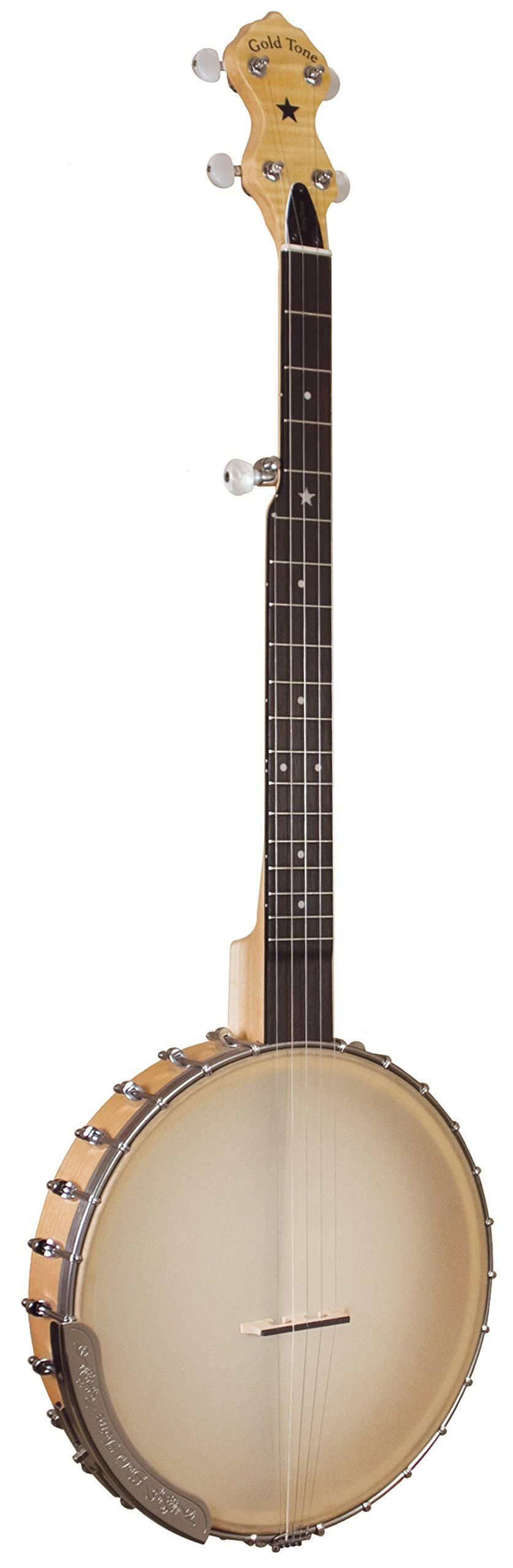 Gold Tone Banjo with Gig Bag D56058