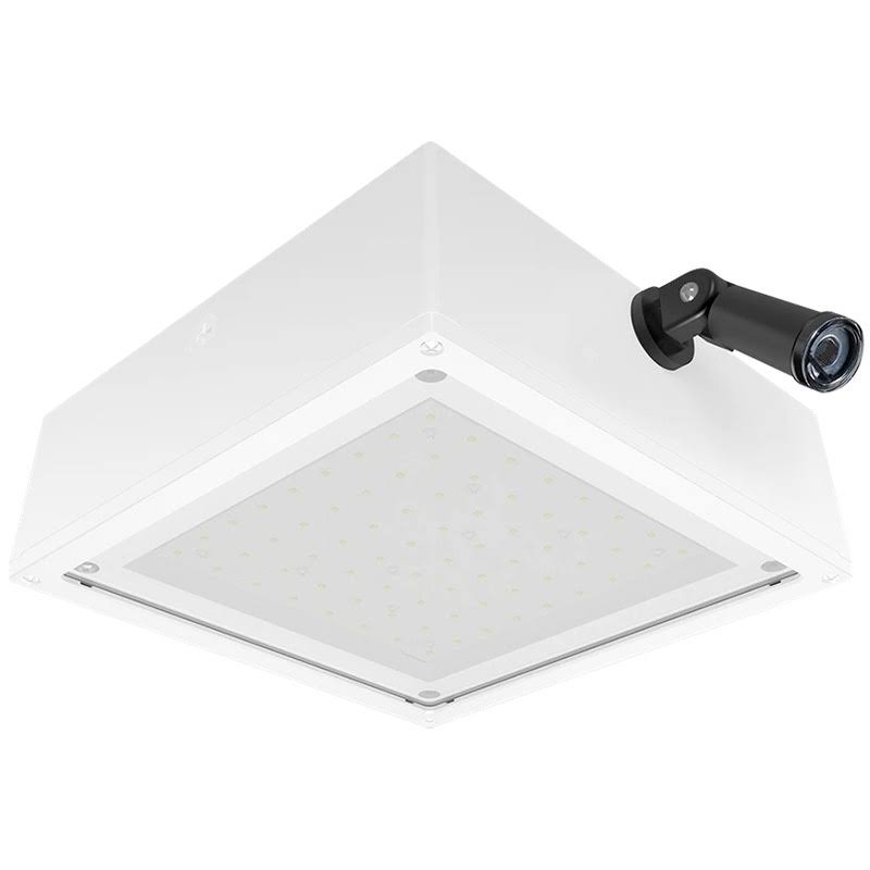 Flat Frosted Lens 120V Swivel Photocell White N941