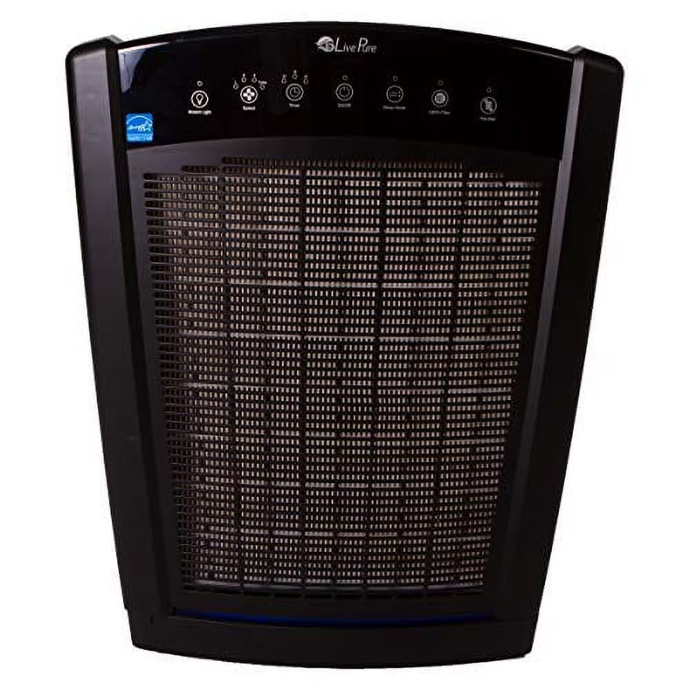 Slate Black True HEPA Air Purifier Q195299