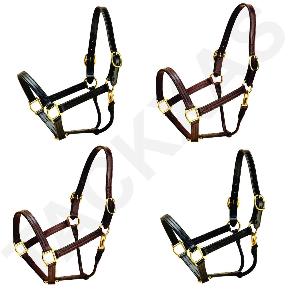 Leather Halter D322