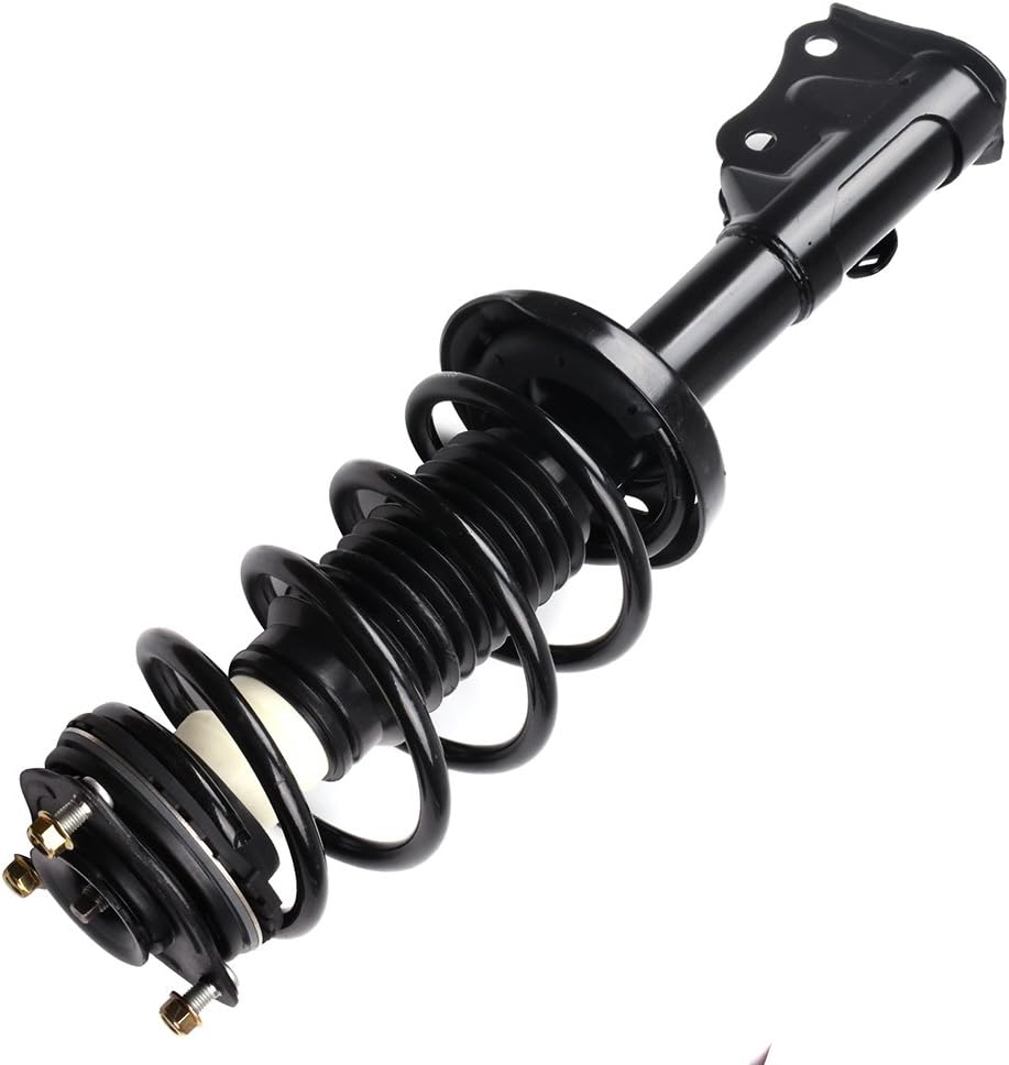 Front Pair Complete Struts Assembly Shock Absorber E551