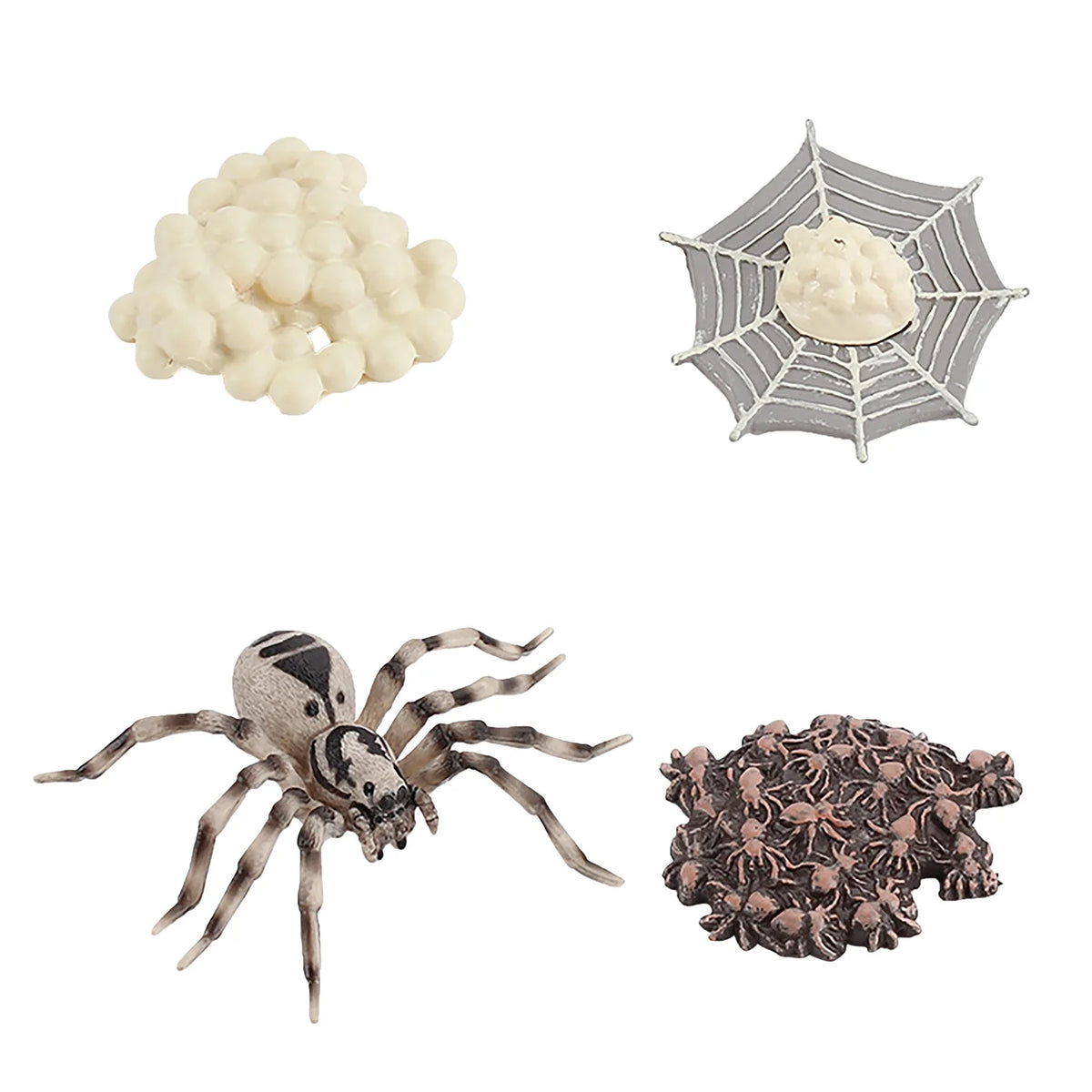 4 Piece Insect Animal Life Cycle Plastic Figures P911