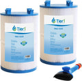 2-Pack Spa Filter Cartridge R477874
