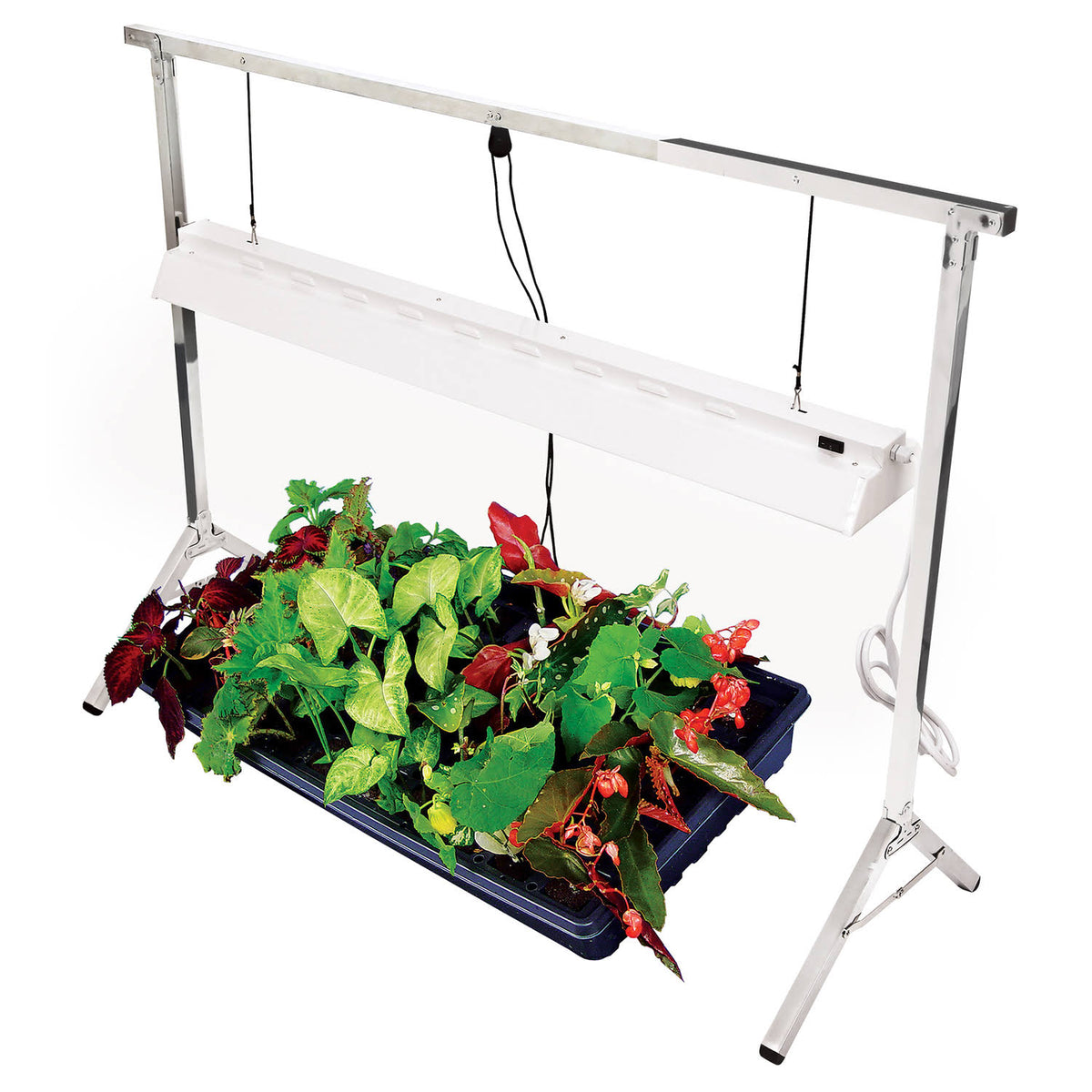 4 ft 2 Lamp T5 Fluorescent Propagation Stand I8026