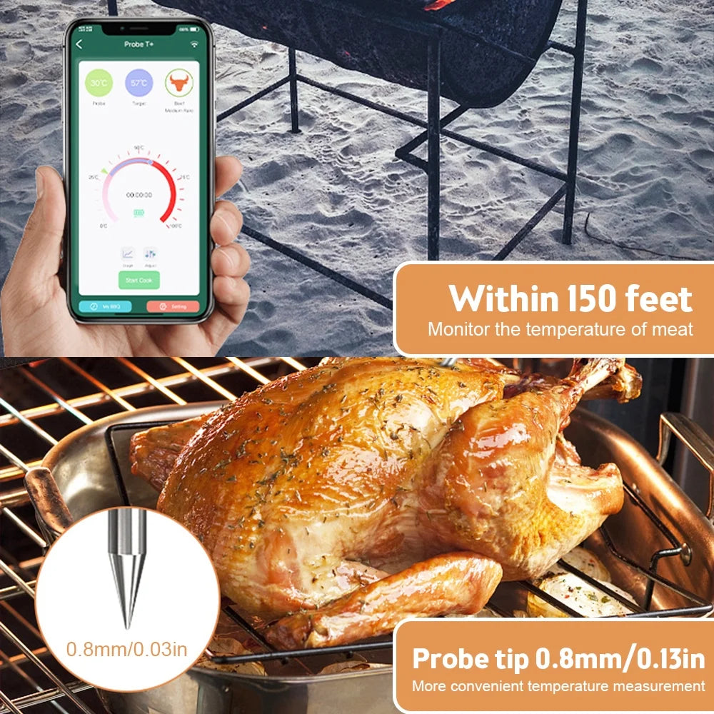 Smart Wireless Meat Thermometer with 2 Probes S787