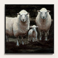 Framed Canvas 24x22 T542