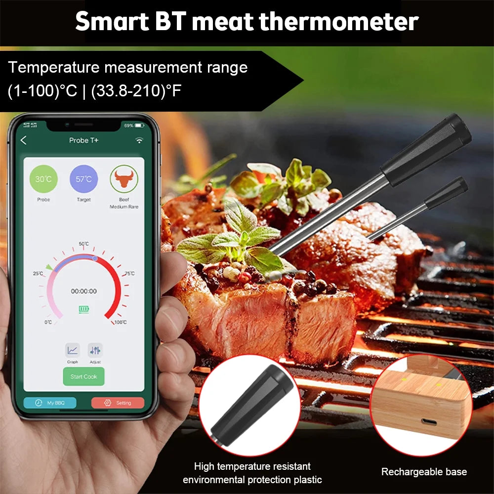 Smart Wireless Meat Thermometer with 2 Probes S787