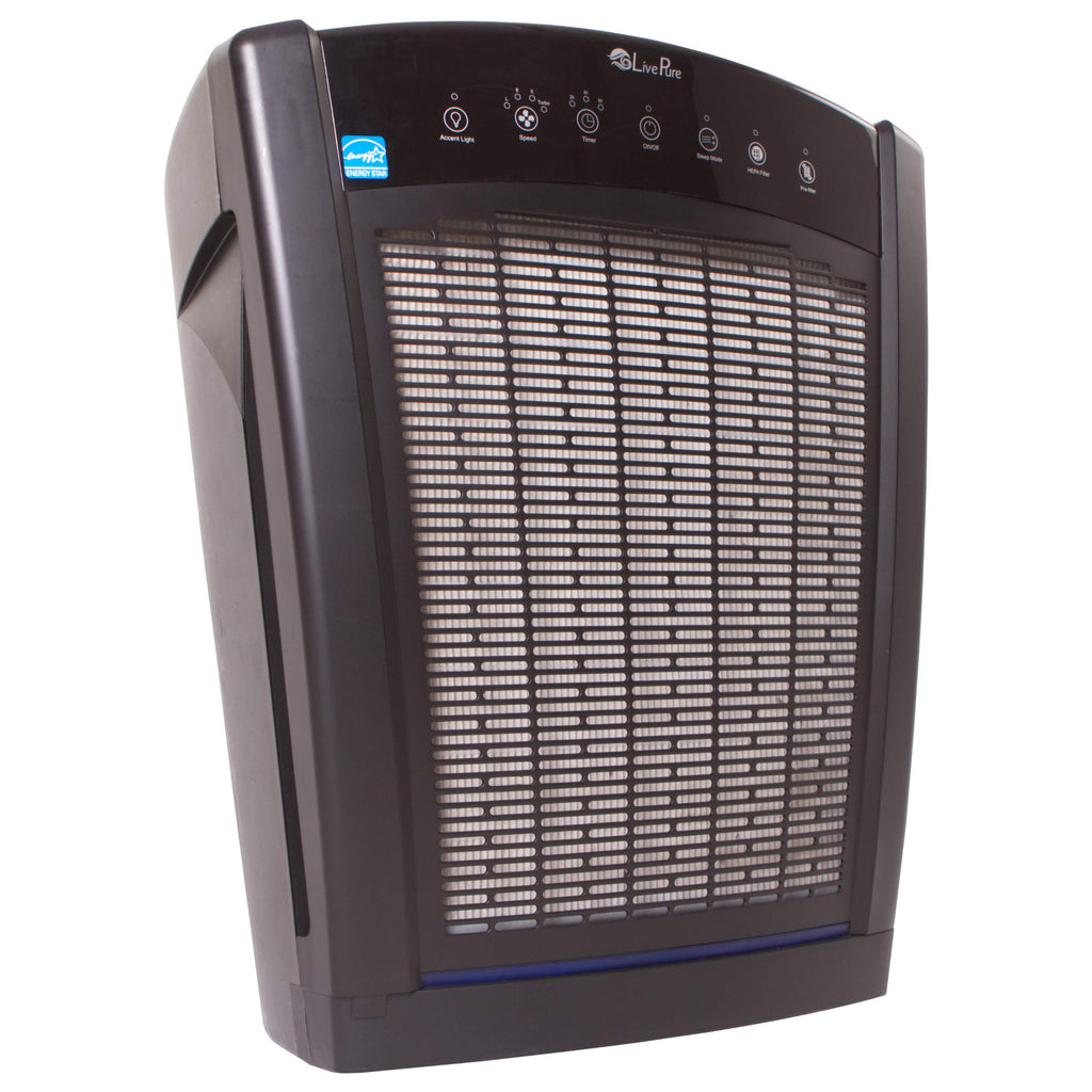 Slate Black True HEPA Air Purifier Q195299