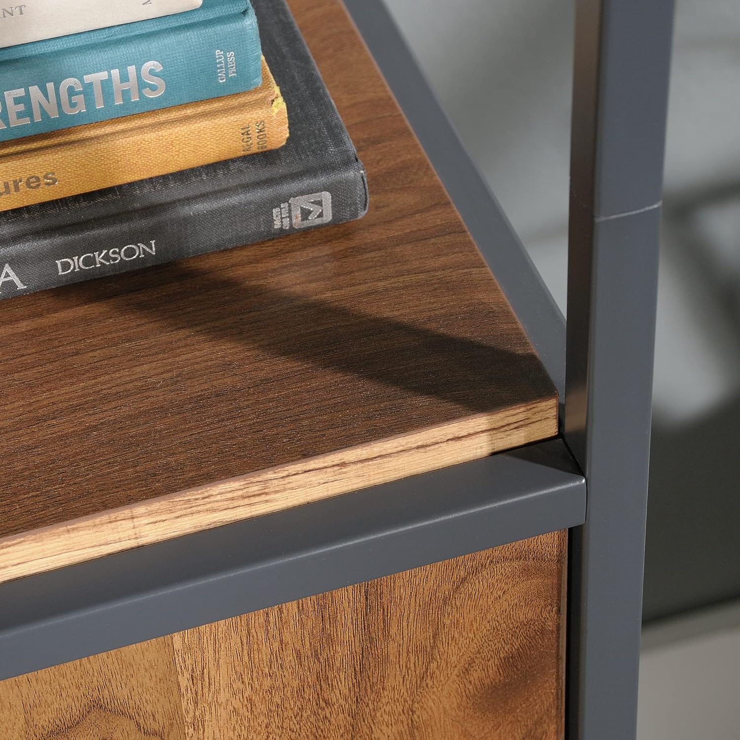 Bookcase with Doors N78017