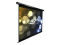 100x22 16:9 Projection Screen J983086