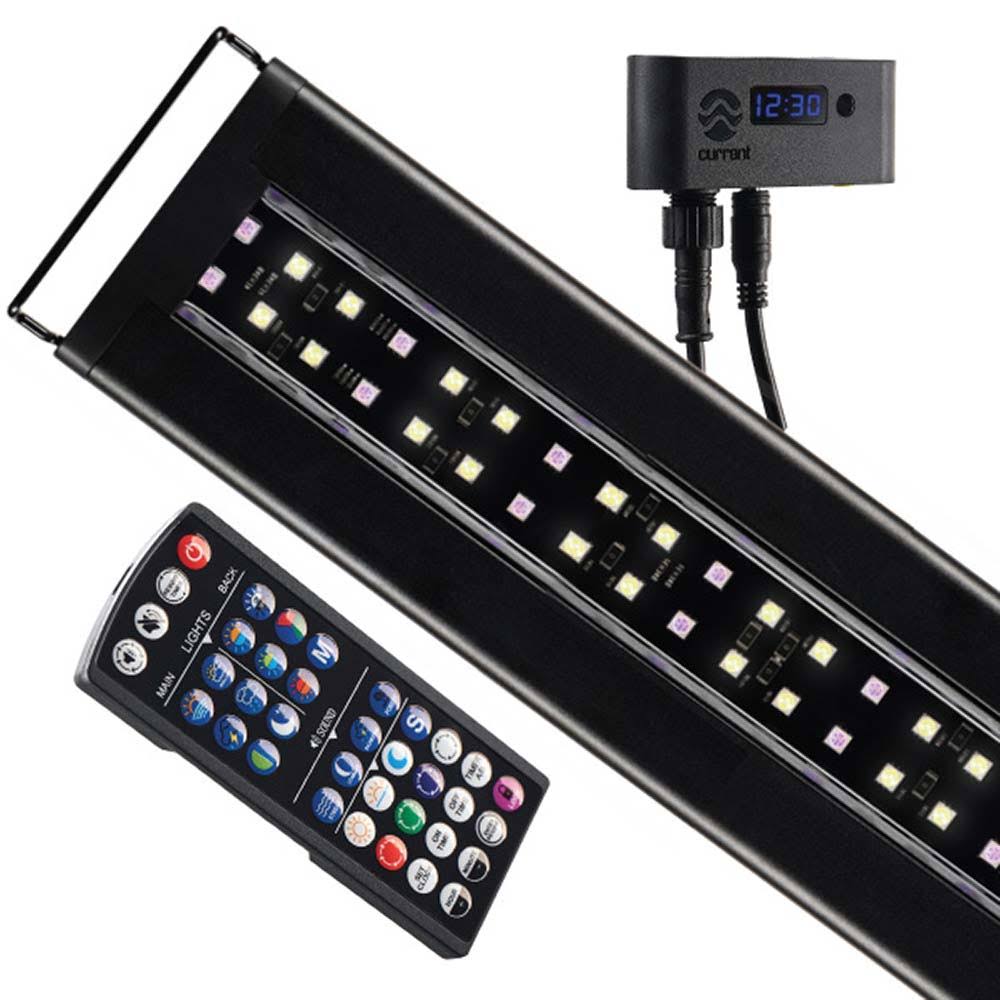 Serene Sun Freshwater LED with Wireless 24 Hour Remote Control (24-36 inch) X3299