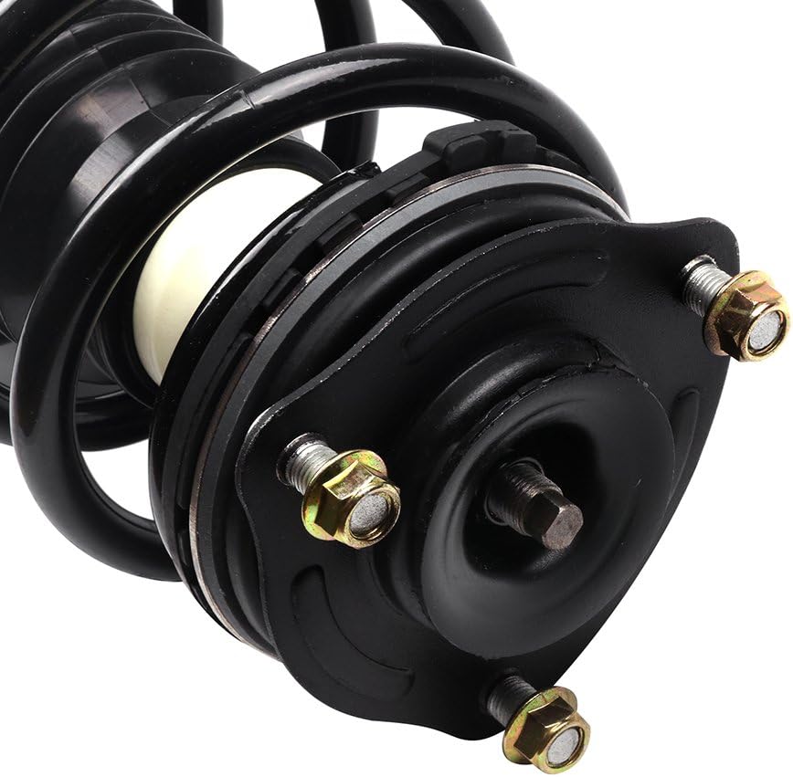 Front Pair Complete Struts Assembly Shock Absorber E551