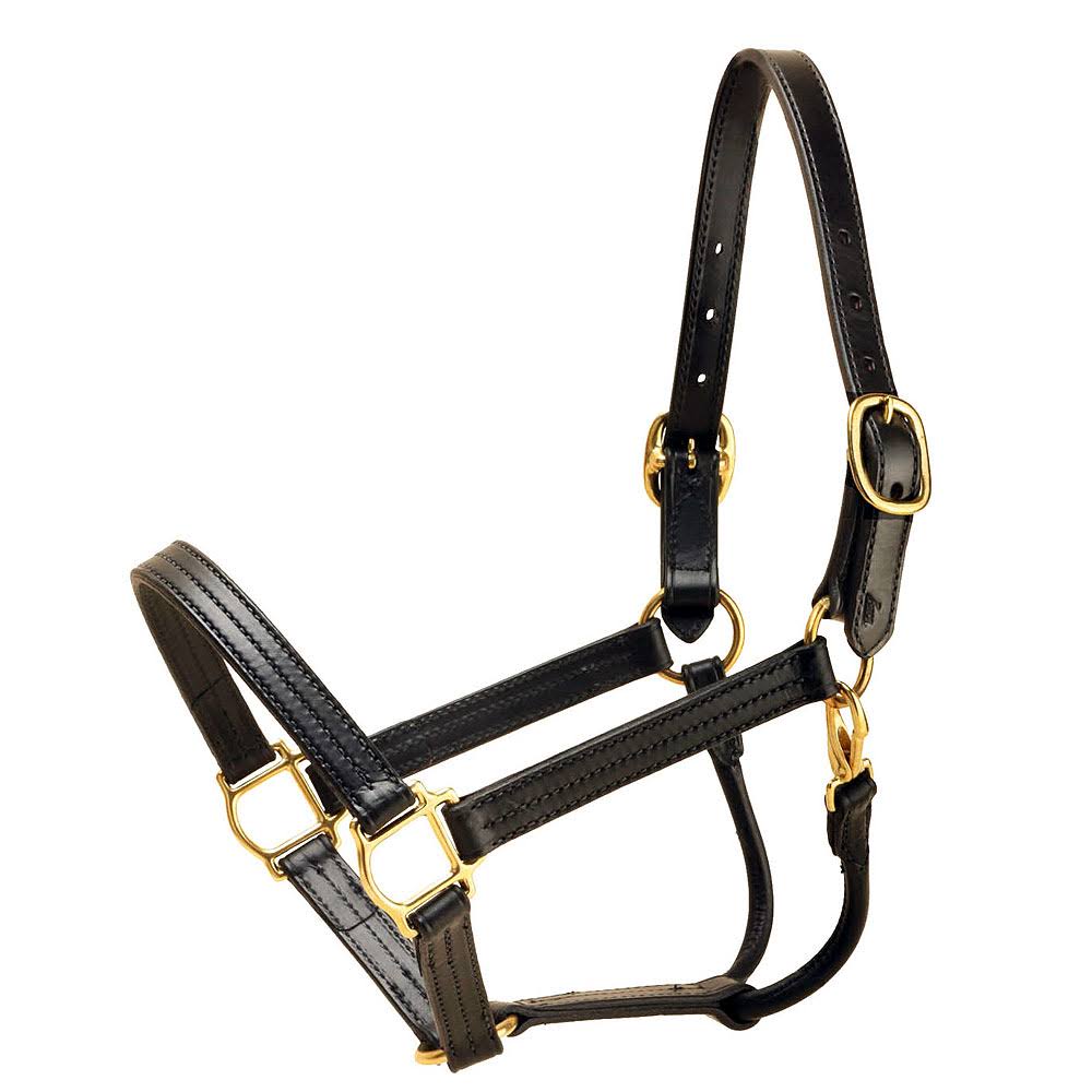 Leather Halter D322
