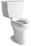 White Elongated Two-Piece Toilet H375920