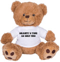 Brown 8 Inch Teddy Bear Stuffed Animal K61963