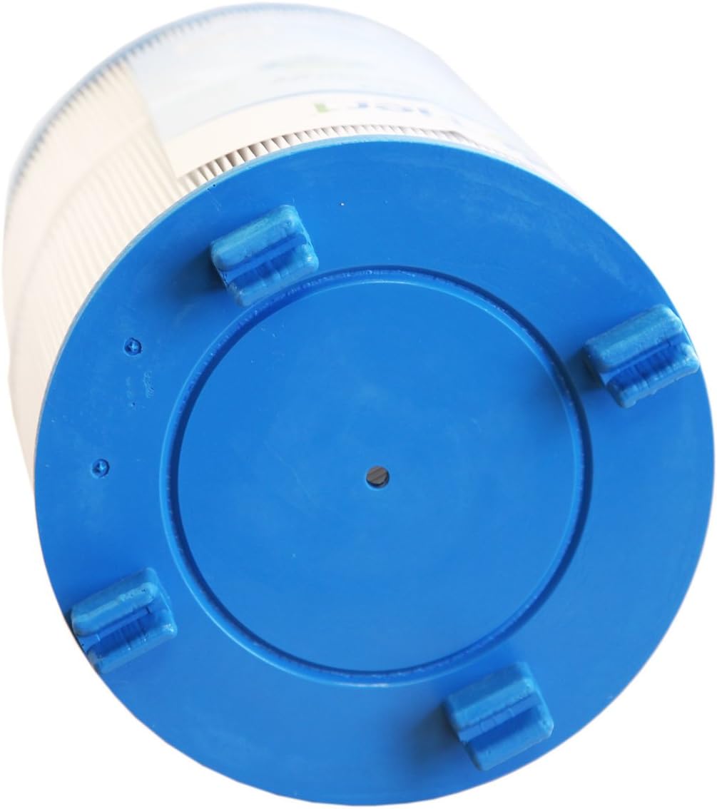 2-Pack Spa Filter Cartridge R477874