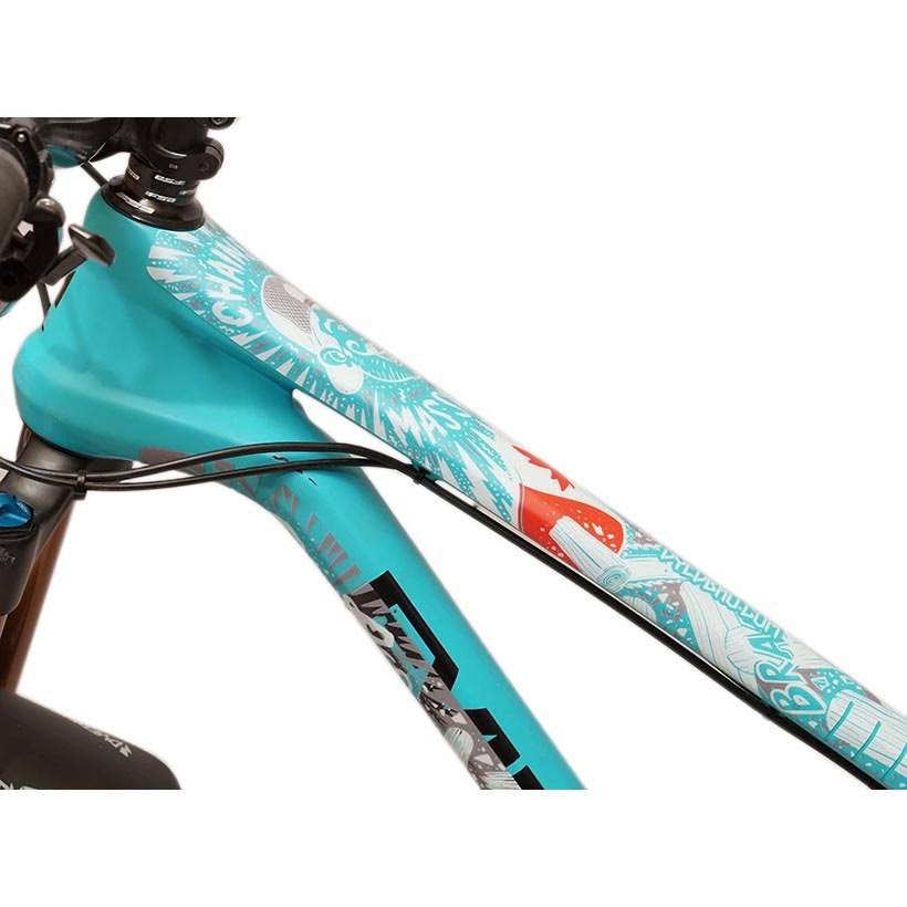 Chainsaw Frame Protector Kit B388585