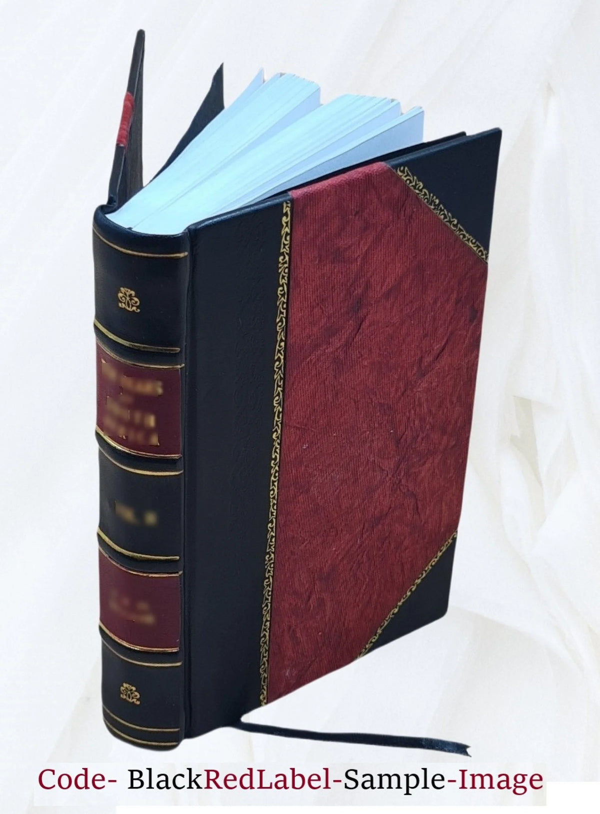 Leather Bound Book L188