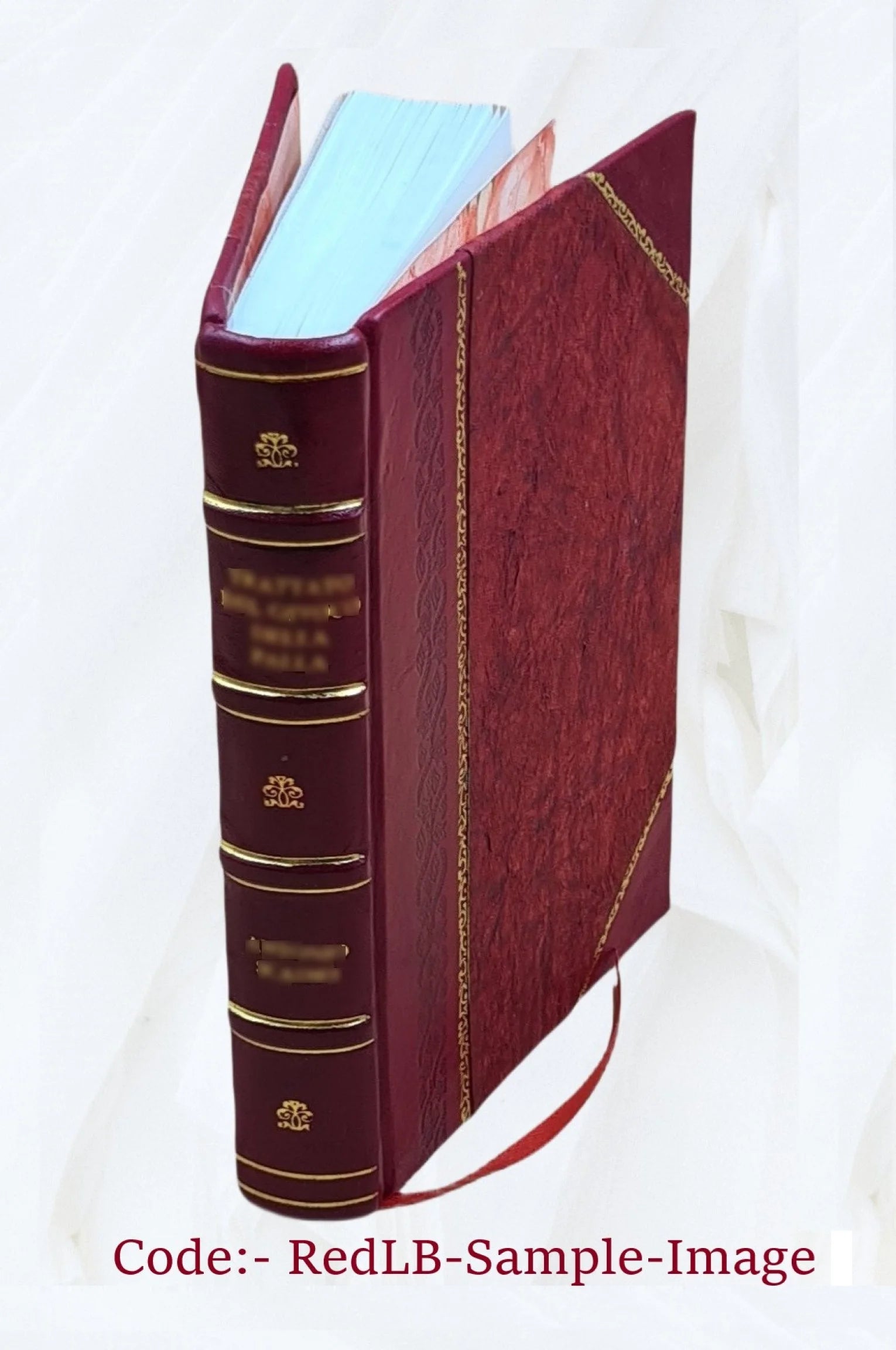 History of Mary Stuart, Queen of Scots, Volume v.2 1874 P312894